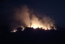 పుంగనూరు నియోజకవర్గం: అడవికి నిప్పు పెట్టిన గుర్తు తెలియని వ్యక్తులు