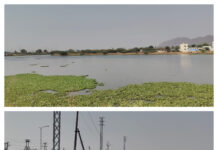 అక్రమాలకు నిలయంగా మారిన నల్లచెరువు |