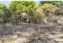 పుంగనూరు నియోజకవర్గం:చౌడేపల్లి మండలంలో అగ్నిప్రమాదం