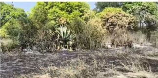 పుంగనూరు నియోజకవర్గం:చౌడేపల్లి మండలంలో అగ్నిప్రమాదం