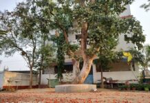 తిరిగి రావాలి రచ్చబండ సంస్కృతి.. గ్రామాల్లోనే న్యాయ పరిష్కారాలు!