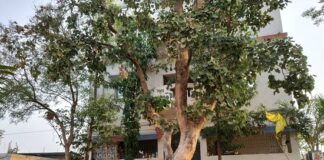 తిరిగి రావాలి రచ్చబండ సంస్కృతి.. గ్రామాల్లోనే న్యాయ పరిష్కారాలు!